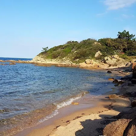 Semesterbostad Mini A 100m De La Avec Prise De Recharge Elec Privative Sari-Solenzara